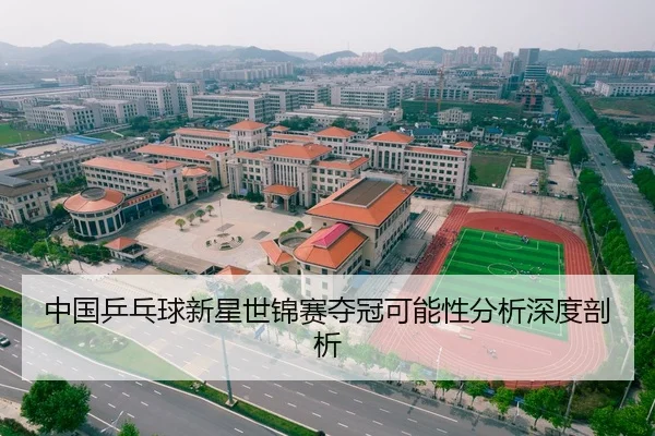中国乒乓球新星世锦赛夺冠可能性分析深度剖析